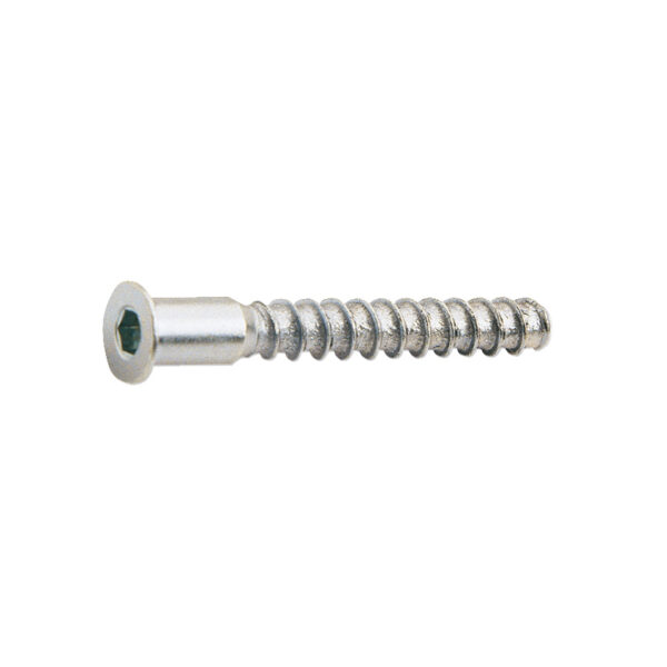 Tornillo ensamblar EHS