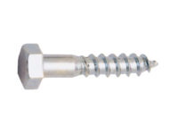 Tornillo DIN 571 EHS