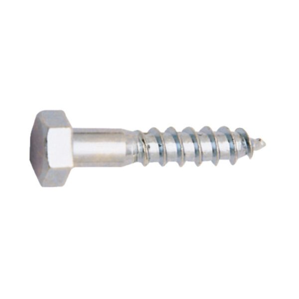 Tornillo DIN 571 EHS