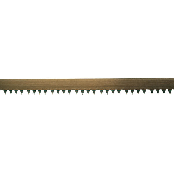 Diente. Madera seca.