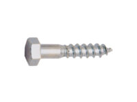 Tornillo DIN 571 EHS