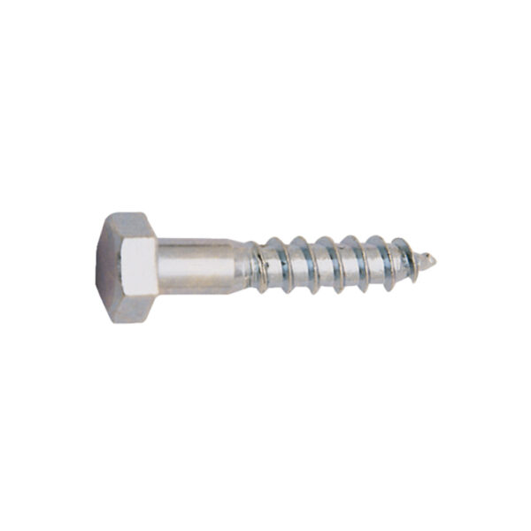 Tornillo DIN 571 EHS