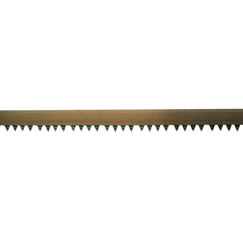 Diente. Madera seca.