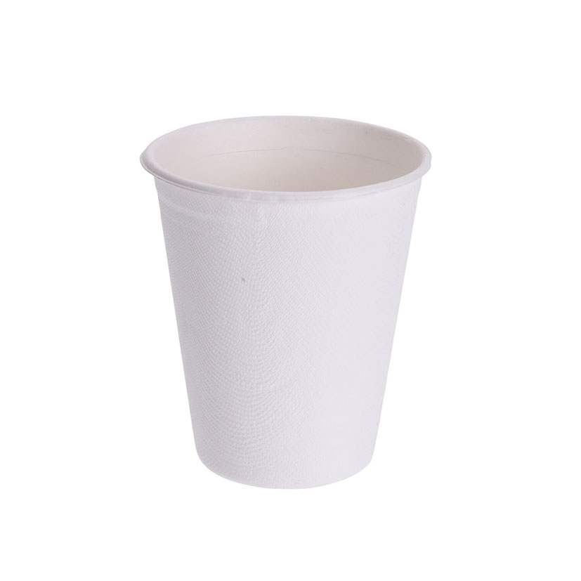 Platos y vasos desechables