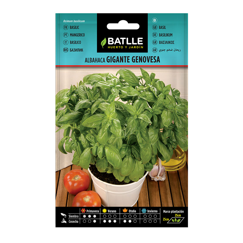 Semillas BATLLE